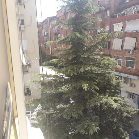 Jolie Center Apartment Тирана Екстериор снимка